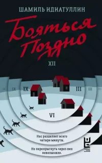 Бояться поздно - Шамиль Идиатуллин