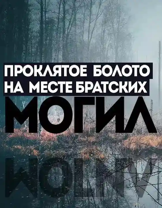 Багровое болото - Игорь Шанин