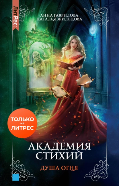 Академия Стихий 2. Душа Огня - Наталья Жильцова, Анна Гаврилова