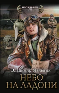 Небо в кармане! Небо на ладони - Владимир Малыгин